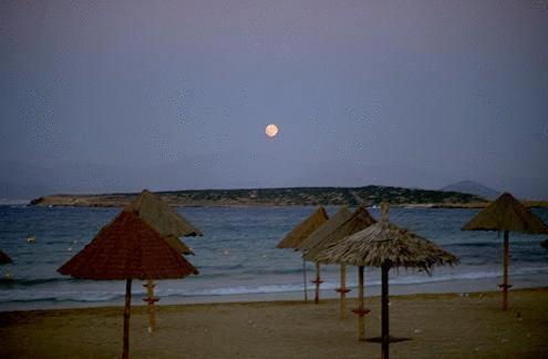 Surfing Beach Huts Santa Maria  Buitenkant foto